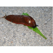 Slug Eating The Leaf From Dandelion photo sculptures by lifesphere Slug Eating The Leaf From Dandelion photo sculptures