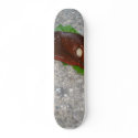 Slug Eating The Leaf From Dandelion skateboards by lifesphere Slug Eating The Leaf From Dandelion skateboards