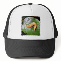 Slug on Leaf Hat