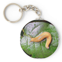Slug on Leaf Keychain