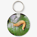 Slug on Leaf Keychain by buffaloworks Slug on Leaf Keychain