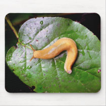 Slug on Leaf Mousepad