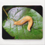 Slug on Leaf Mousepad
