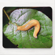 Slug on Leaf Mousepad