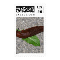 Slug postage by lifesphere Slug postage