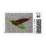 Slug Postage