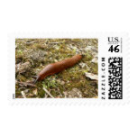 Slug Red Postage Stamp