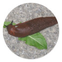 Slug stickers
