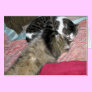 Slumber Buddies