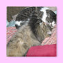 Slumber Buddies