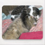 Slumber Buddies