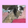 Slumber Buddies