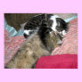 Slumber Buddies