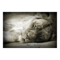 Slumber poster posters by annacmark74 Slumber poster posters