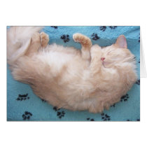Slumbering Kitten Card by KarmasKreations Slumbering Kitten Card