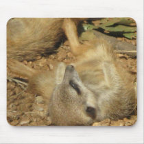 Slumbering Meerkat mousepads