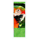 Sm. Scarlet Macaw Green Bookmark Business Cards