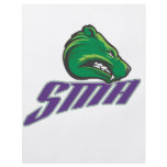 SMA Bears San Marcos Academy flyers