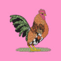 Small Bantam Rooster embroidered shirts