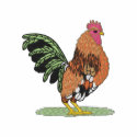 Small Bantam Rooster embroidered shirts