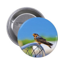 Small bird on a net pin