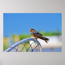 Small bird on a net print