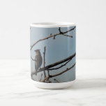 Small Bird on Tree Limb in Winter mugs