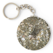 Small Black Crab On The Rocks Key Chains