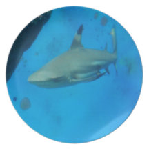 Small Black Tipped Shark Dinner Plate