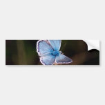 Small Blue Butterfly Bumper Sticker