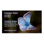 Small Blue Butterfly Business Card