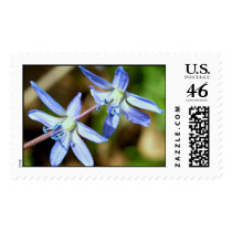 Small Blue Spring Flower postage