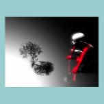 small broccoli  posters