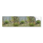 Small Bushfire In Candlewood At Western Australia Bumper Stickers