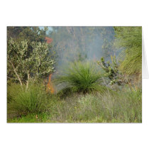 Small Bushfire In Candlewood At Western Australia Card