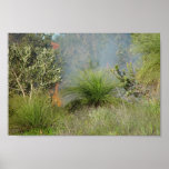 Small Bushfire In Candlewood At Western Australia Print