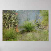 Small Bushfire In Candlewood At Western Australia Print