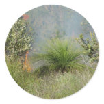 Small Bushfire In Candlewood At Western Australia Stickers