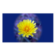 small business owner card, dandelion business card