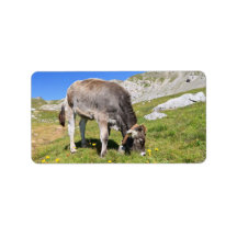 small calf personalized address label