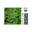 Small Clover 002 Postage postage