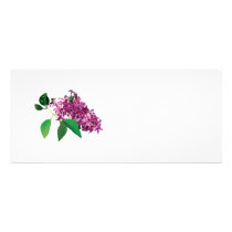 Small Cluster of Pink Lilacs rack cards