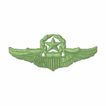Small Command Pilot