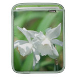 Small Cup Daffodils iPad Sleeve
