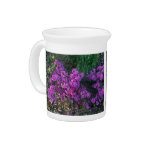 Small deep pink flowers drink pitchers