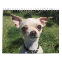Small Dog Park Calendar by alexeymohr Small Dog Park Calendar