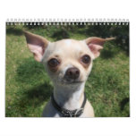 Small Dog Park Calendar