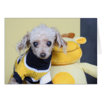 Small Dog & Stuffed Cow cards by Dynette Small Dog & Stuffed Cow cards