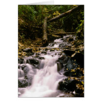 Small fall / Spofford cards