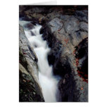 Small Falls cards